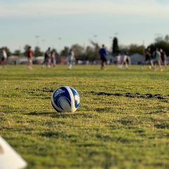 pexels-david-torres-1070885672-28609617